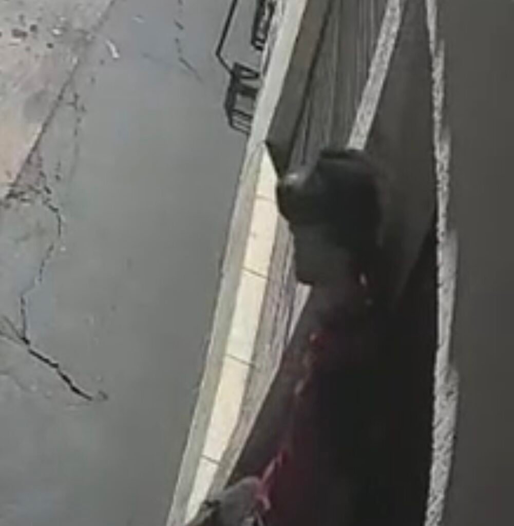 Suspeito da tentativa de invasão.